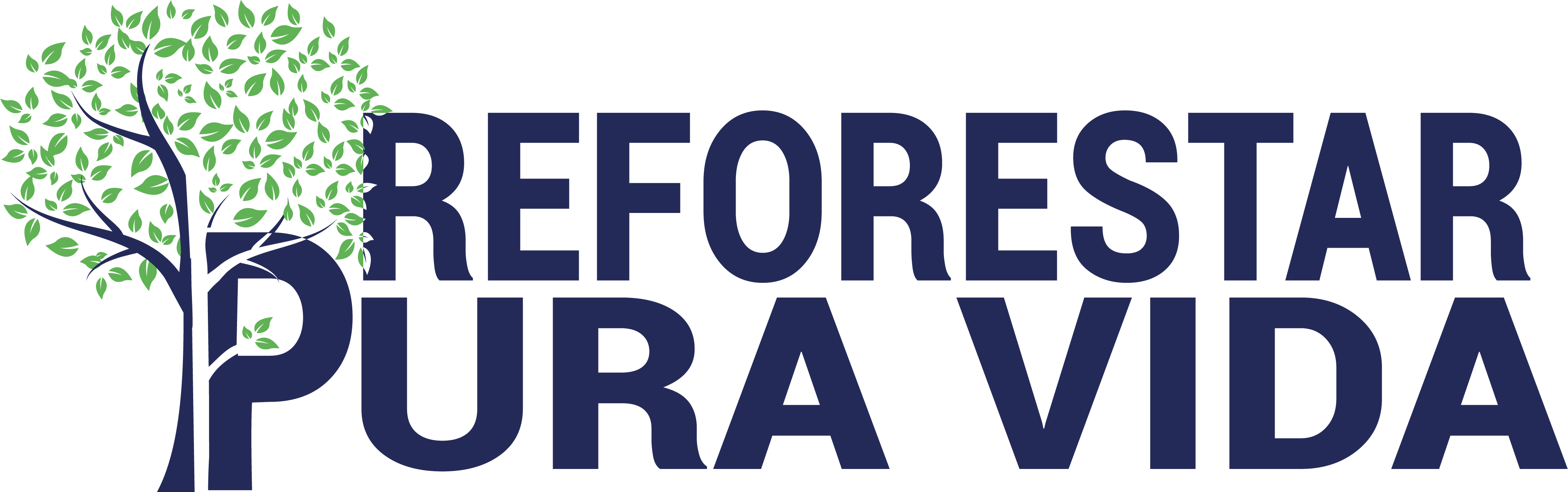 Reforestar Pura Vida
